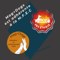 adherente MFEC pro ethique 2026
